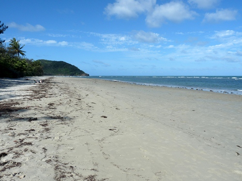 Cape Tribulation